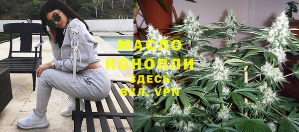 сатива Карпинск